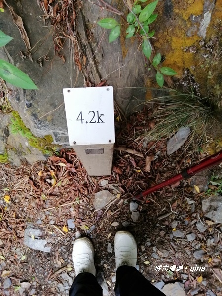 IMG_20200425_135937.jpg IMG_20200425_135937.jpg