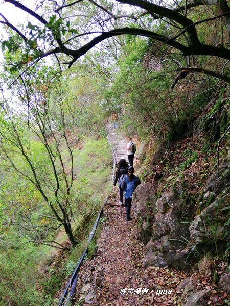 IMG_20200425_141216.jpg IMG_20200425_141216.jpg