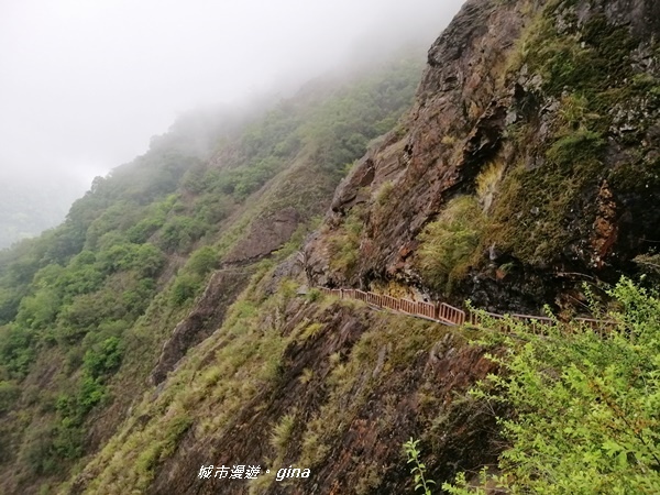 IMG_20200425_140045.jpg IMG_20200425_140045.jpg