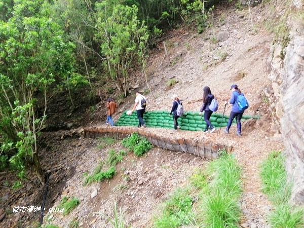 IMG_20200425_141520.jpg IMG_20200425_141520.jpg