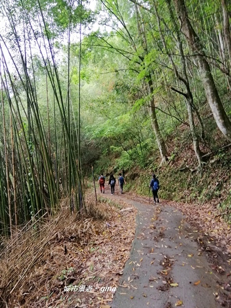 IMG_20200425_153024.jpg IMG_20200425_153024.jpg