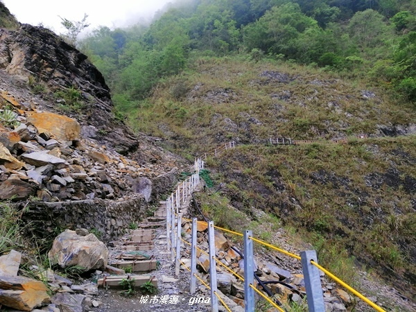 IMG_20200425_150150.jpg IMG_20200425_150150.jpg