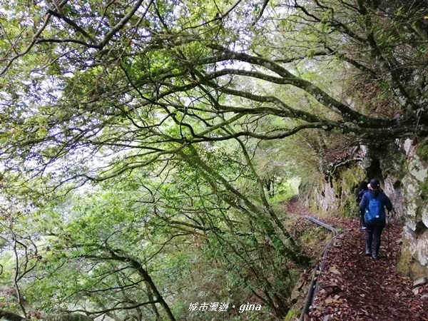 IMG_20200425_143830.jpg IMG_20200425_143830.jpg