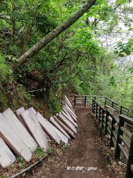 IMG_20200425_155628.jpg IMG_20200425_155628.jpg