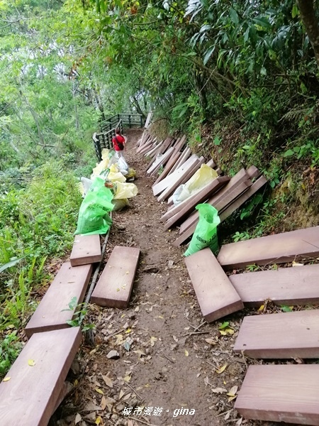 IMG_20200425_155533.jpg IMG_20200425_155533.jpg