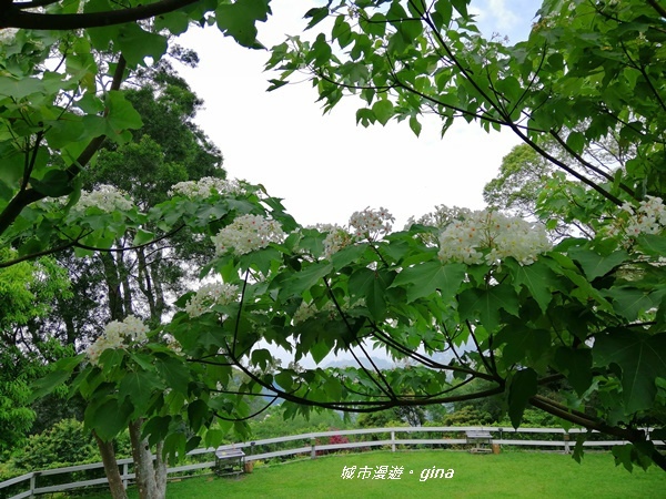 【苗栗公館】體驗山居樂。 開礦露營區