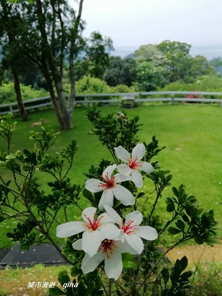 【苗栗公館】體驗山居樂。 開礦露營區