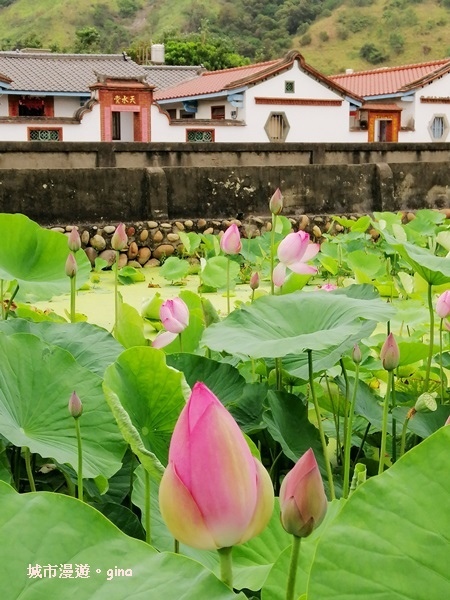 IMG_20200510_172002.jpg IMG_20200510_172002.jpg