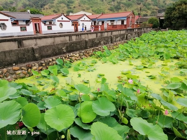 IMG_20200510_172027.jpg IMG_20200510_172027.jpg