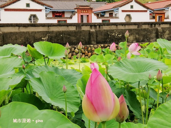 IMG_20200510_172258.jpg IMG_20200510_172258.jpg