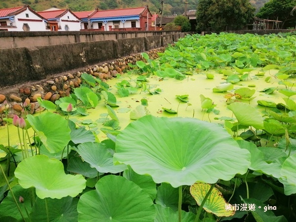 IMG_20200510_172358.jpg IMG_20200510_172358.jpg