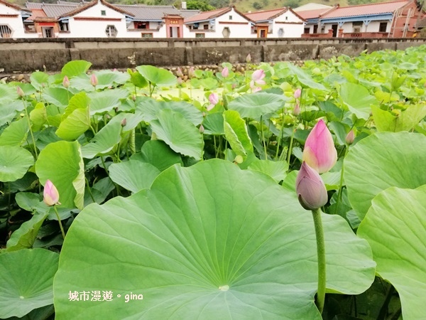 IMG_20200510_173041.jpg IMG_20200510_173041.jpg