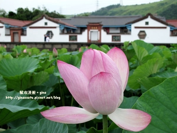 IMG_20200510_173342.JPG IMG_20200510_173342.JPG