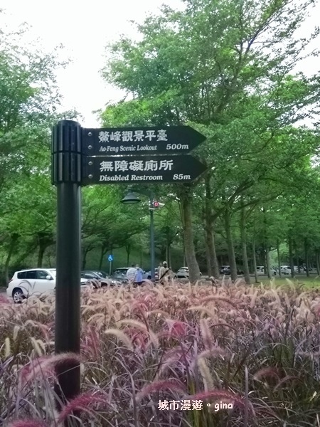 IMG_20200510_181003.jpg IMG_20200510_181003.jpg