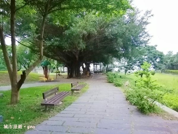 IMG_20200510_181147.jpg IMG_20200510_181147.jpg