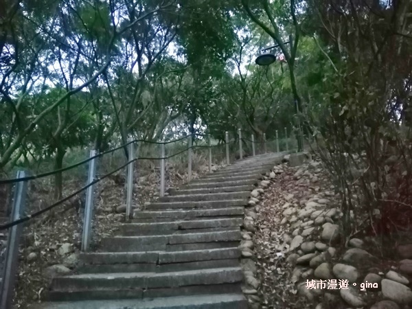 IMG_20200510_181928.jpg IMG_20200510_181928.jpg