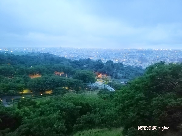 IMG_20200510_182706.jpg IMG_20200510_182706.jpg