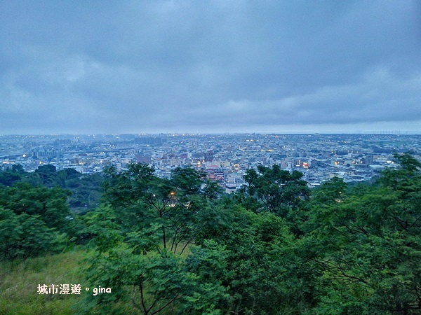 IMG_20200510_182316.jpg IMG_20200510_182316.jpg