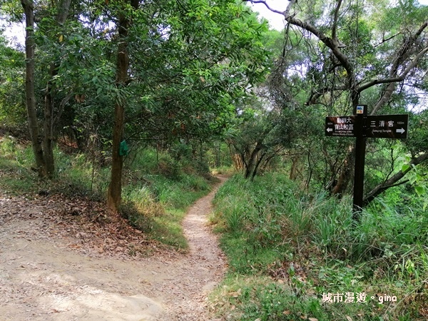 【彰化】郊山步道有如迷宮。 桃源里~彰師大寶山校區後山步道