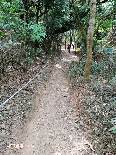 【彰化】郊山步道有如迷宮。 桃源里~彰師大寶山校區後山步道