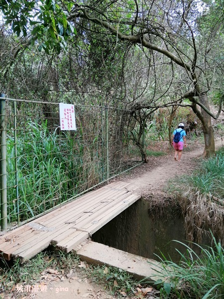 【彰化】郊山步道有如迷宮。 桃源里~彰師大寶山校區後山步道