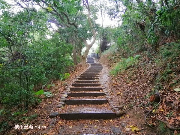 【彰化】郊山步道也有森林的fu。桃源里森林步道