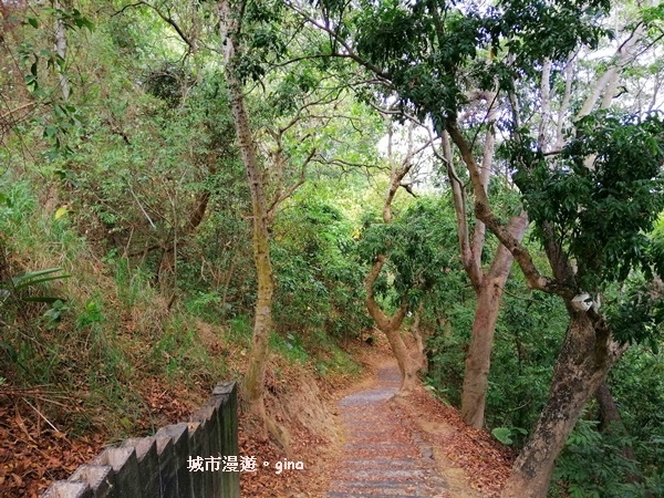 【彰化】郊山步道也有森林的fu。桃源里森林步道