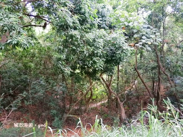 IMG_20200516_162411.jpg IMG_20200516_162411.jpg