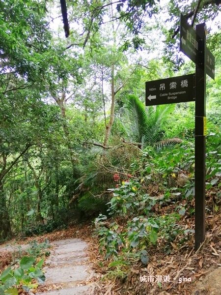 【彰化】郊山步道也有森林的fu。桃源里森林步道