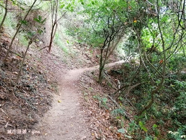 IMG_20200516_162535.jpg IMG_20200516_162535.jpg