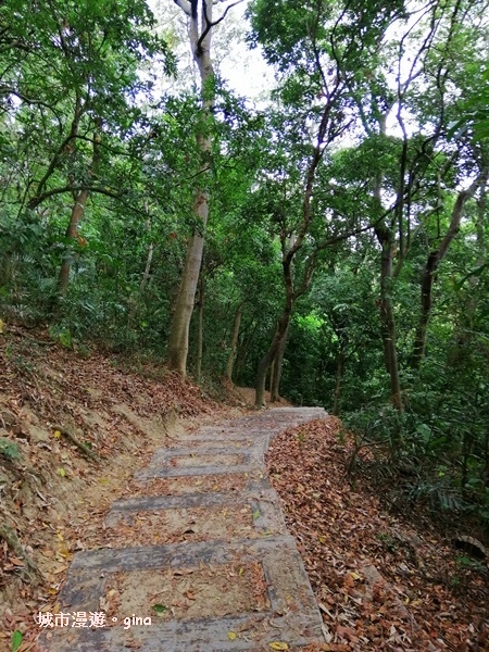 【彰化】郊山步道也有森林的fu。桃源里森林步道