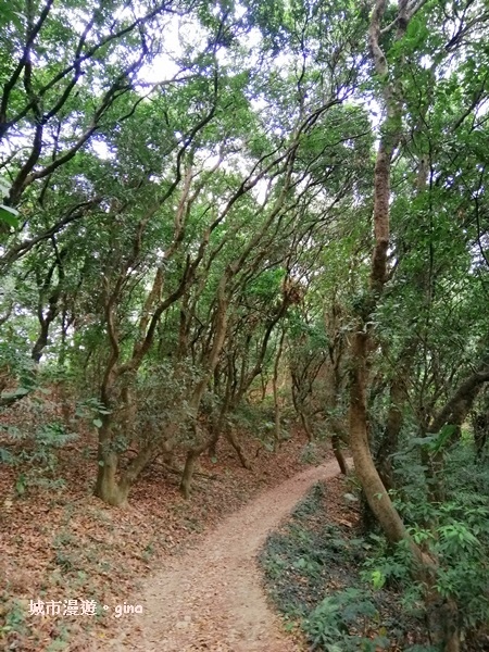 IMG_20200516_162733.jpg IMG_20200516_162733.jpg