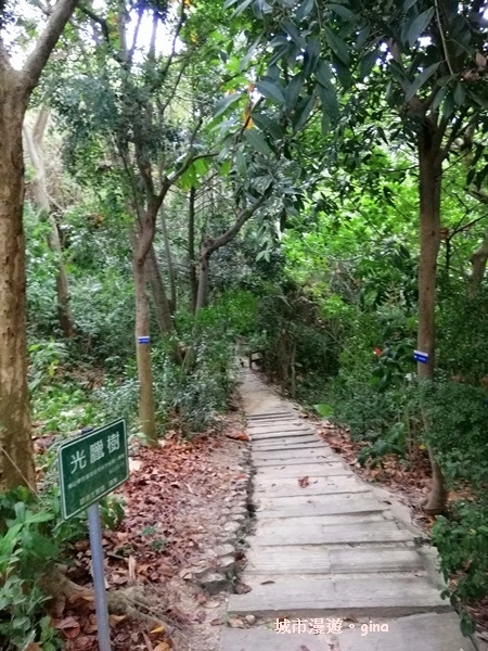 IMG_20200516_163031.jpg IMG_20200516_163031.jpg