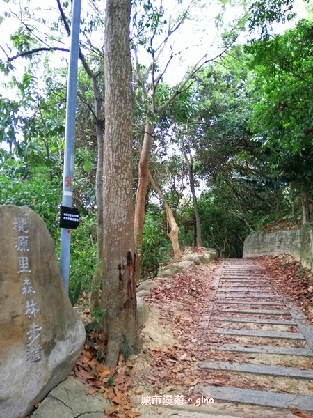 IMG_20200516_162948.jpg IMG_20200516_162948.jpg