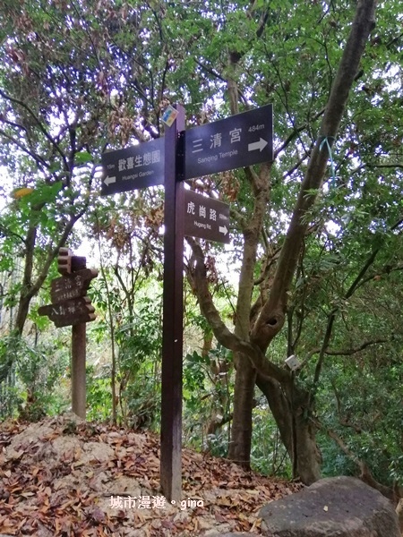 【彰化】郊山步道也有森林的fu。桃源里森林步道