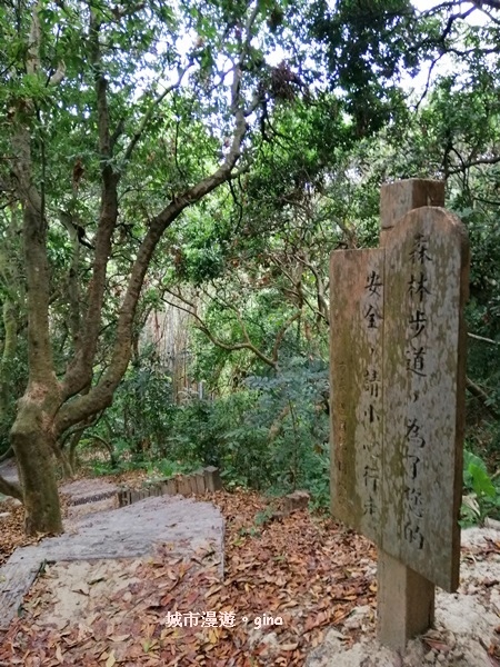 IMG_20200516_162901.jpg IMG_20200516_162901.jpg