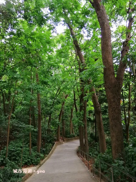 IMG_20200516_163131.jpg IMG_20200516_163131.jpg