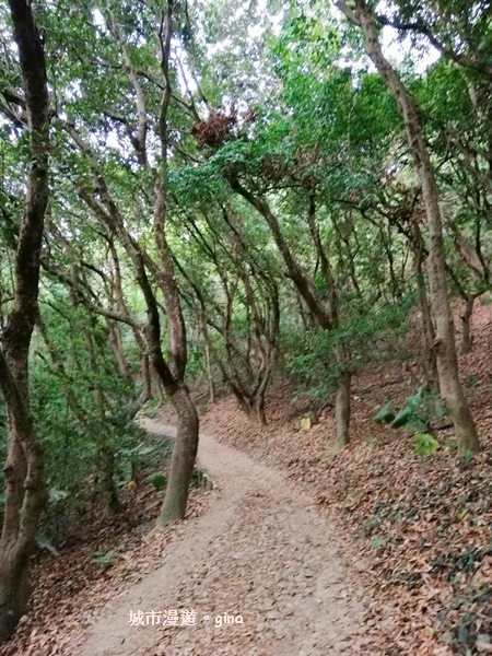 IMG_20200516_163909.jpg IMG_20200516_163909.jpg