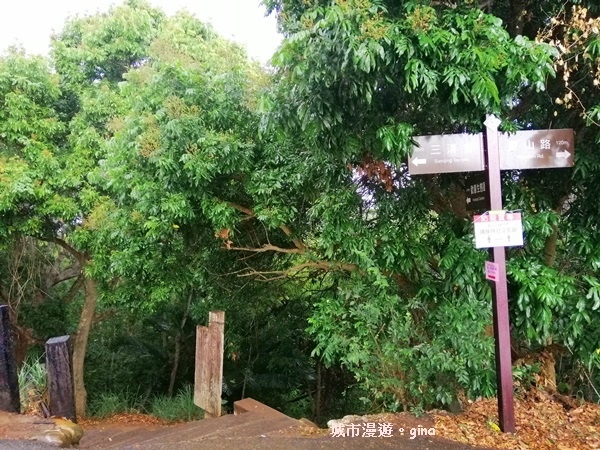 【彰化】郊山步道也有森林的fu。桃源里森林步道