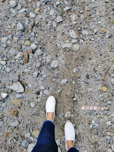 【台中大安】風車轉轉。 龜殼生態公園景觀步道