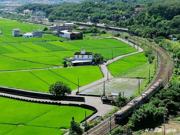 【苗栗造橋】迷人的C型鐵道還有綠油油的稻田。鄭漢步道