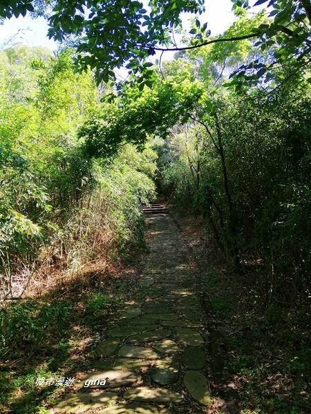 【苗栗造橋】迷人的C型鐵道還有綠油油的稻田。鄭漢步道