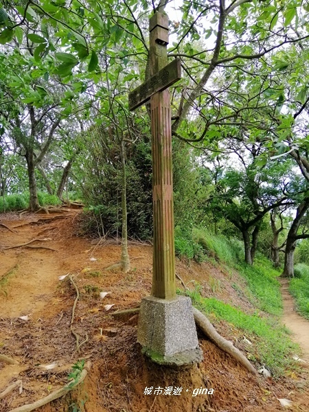 【苗栗造橋】林相豐富的質樸古道。 口山古道