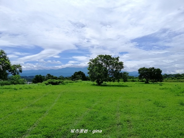 【苗栗造橋】林相豐富的質樸古道。 口山古道