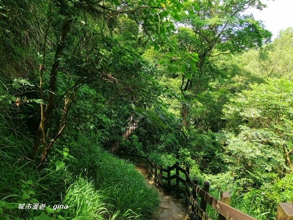 【彰化社頭】清悠古道。 清水岩步道群~18彎(挑鹽古道)