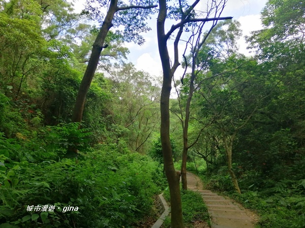 【彰化社頭】清悠古道。 清水岩步道群~18彎(挑鹽古道)