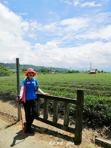 【彰化社頭】清悠古道。 清水岩步道群~18彎(挑鹽古道)