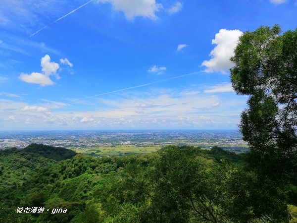 【彰化社頭】稜線上賞美景。清水岩步道群~中央嶺造林步道