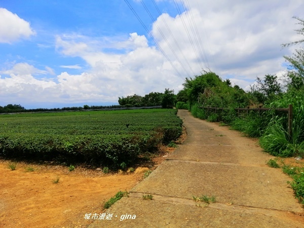 【彰化社頭】稜線上賞美景。清水岩步道群~中央嶺造林步道