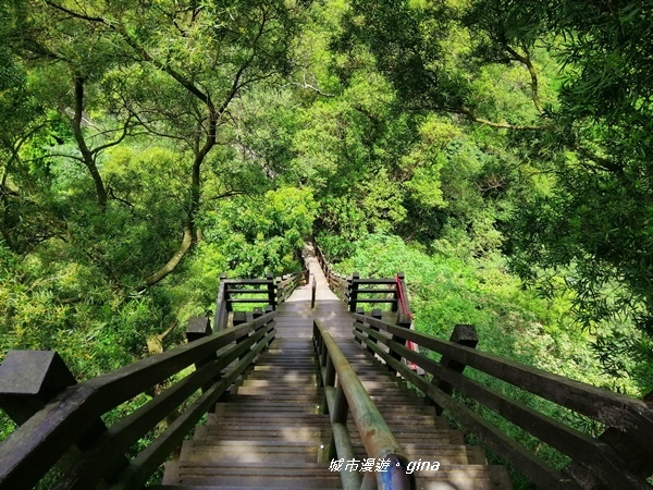 【彰化社頭】稜線上賞美景。清水岩步道群~中央嶺造林步道